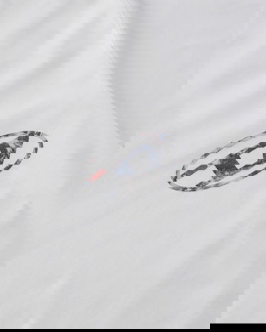 Tričko Diesel Planet Logo Print T-Shirt Biela | A110790CATM 100, 7