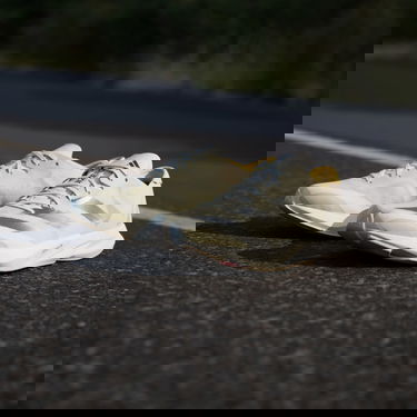 Tenisky a topánky adidas Performance ADIZERO ADIOS 8 W Šedá | IG5648, 5