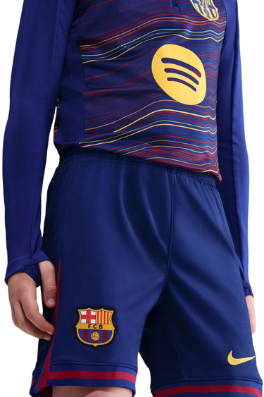 Šortky Nike FCB Y NK DF Stadium HM 2025/26 Shorts Modrá | hj5589-455, 3