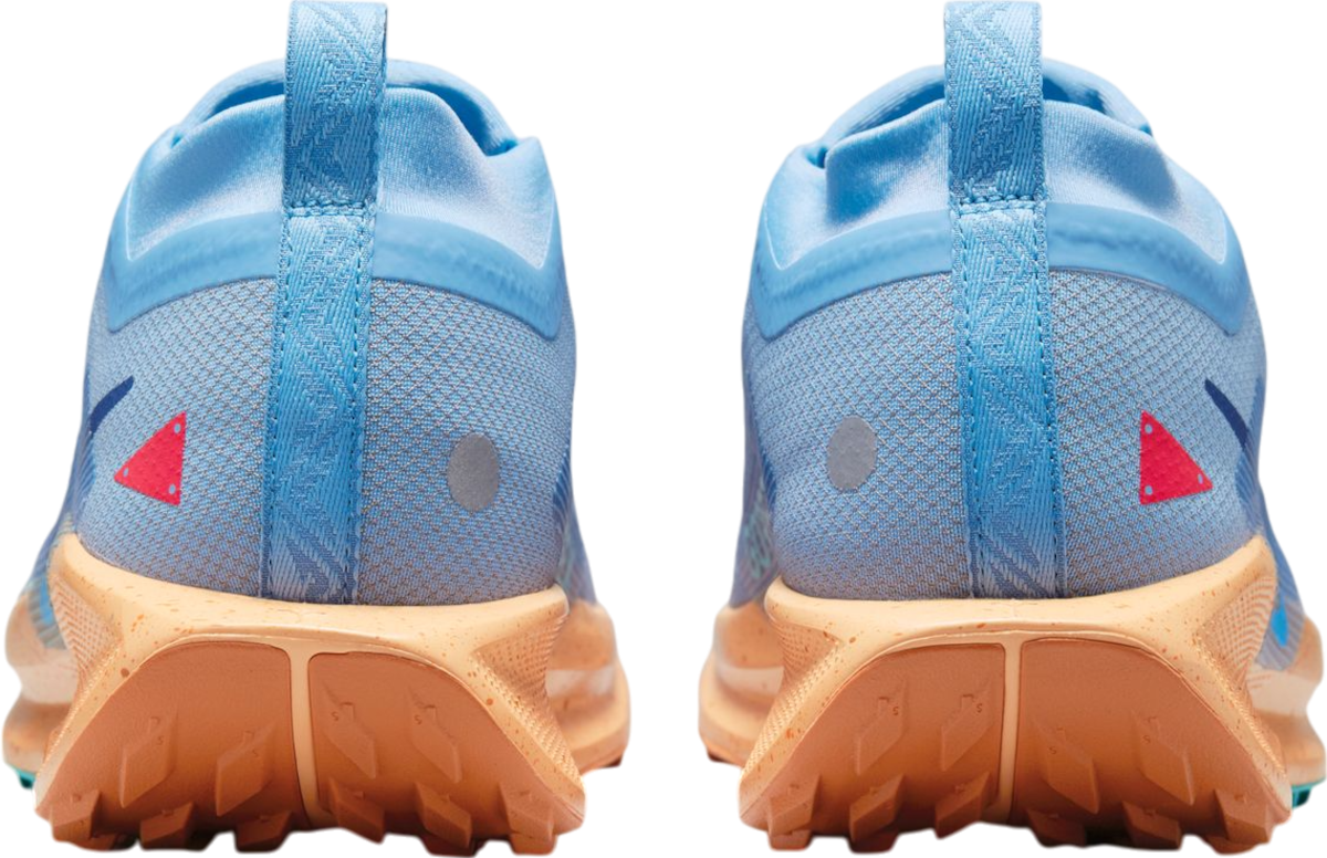 Tenisky a topánky Nike Pegasus Trail 5 GORE-TEX Modrá | fq0908-400, 1