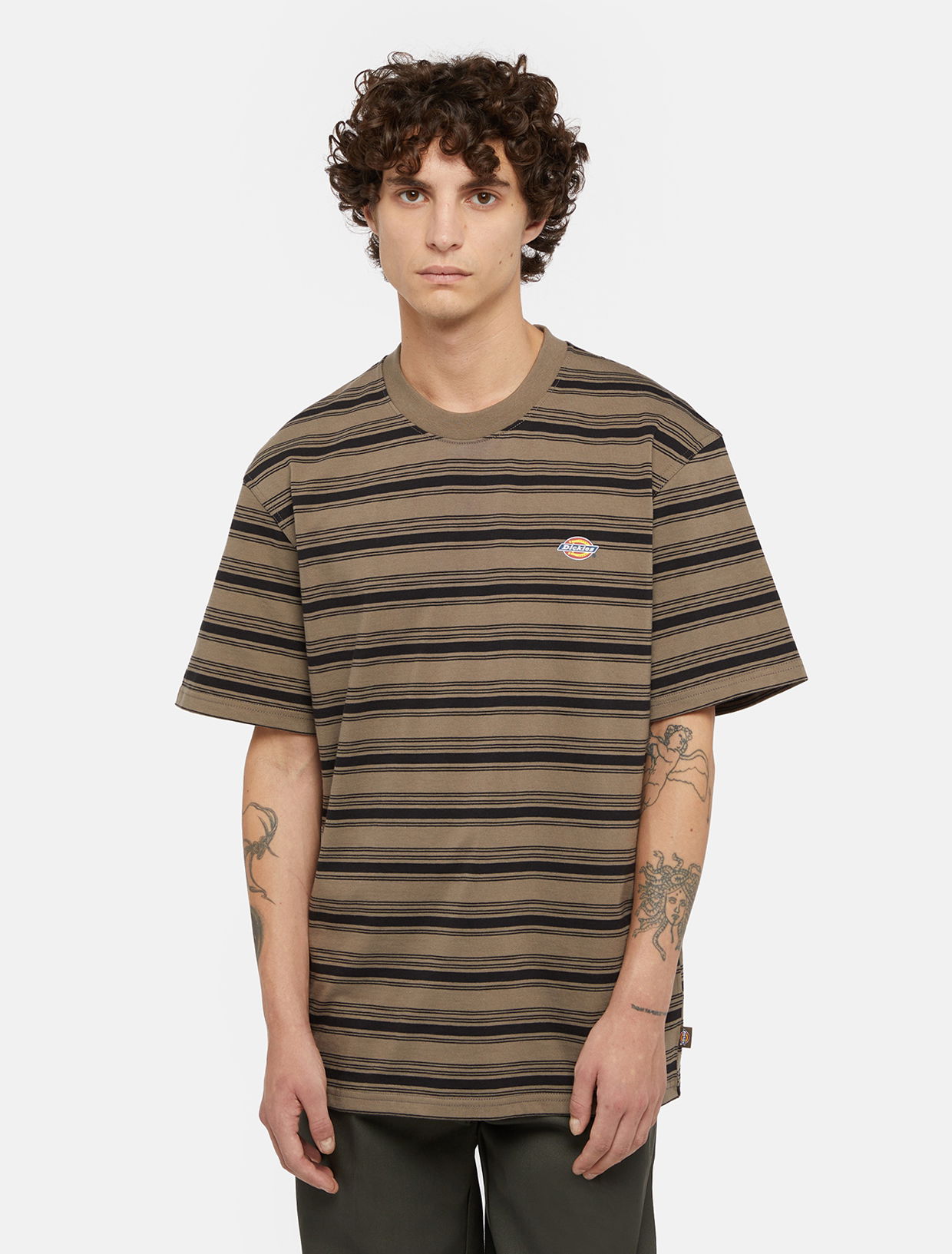 Tričko Dickies Stevensville Stripe Hnedá | 0A8642, 0