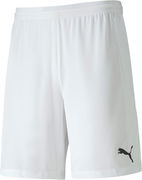 Puma teamFINAL 21 Knit Shorts