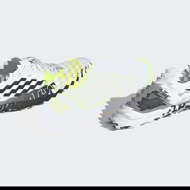 Tenisky a topánky adidas Performance Terrex Speed Pro Biela | FW2734, 1