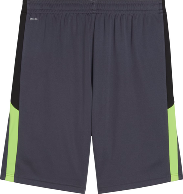 Šortky Puma IndividualLIGA Training open pockets Short Šedá | 659519-08, 1