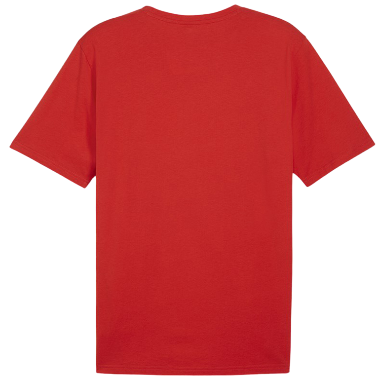 Tričko Puma teamRISE Logo Jersey Cotton Červená | 658705-01, 1