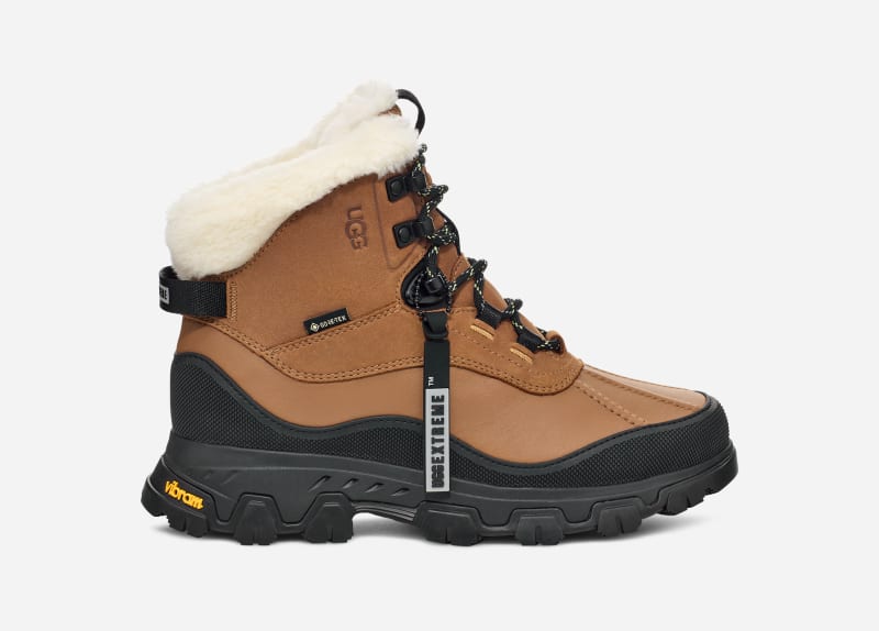 Tenisky a topánky UGG Adirondack Meridian Hiking Boots Hnedá | 1169032-CHE