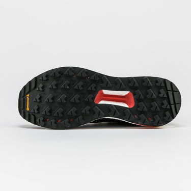 Tenisky a topánky adidas Performance Terrex Free Hiker Čierna | D97203, 4