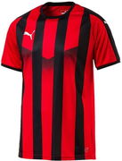 Puma LIGA Striped Jersey