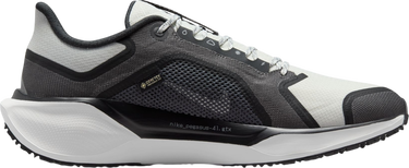 Tenisky a topánky Nike Pegasus 41 GORE-TEX Čierna | fq1356-002, 3