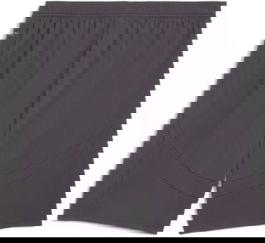 Šortky Puma AC Milan Shorts Replica 2024/25 Šedá | 775130-03, 2