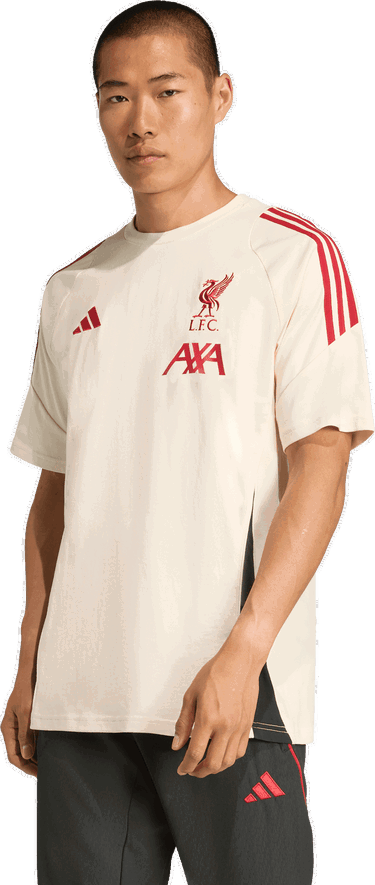 Tričko adidas Originals Liverpool FC Tiro Cotton Tee Béžová | jv6577, 4