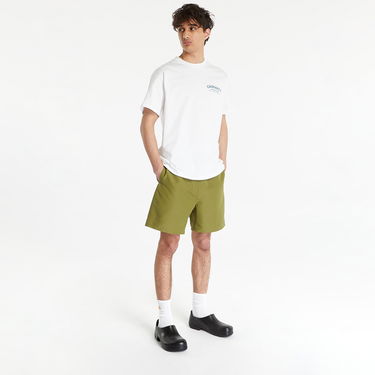Plavky Carhartt WIP Island Swim Trunks Green Zelené | I030059.1FSXX, 2