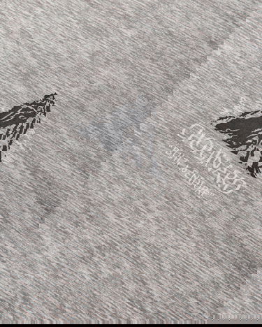 Tričko Patagonia Capilene Cool Daily Graphic Long-Sleeve T-Shirt Šedá | 45160 CHFY, 4