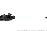 SHUSHU/TONG GEL-KINETIC FLUENT