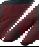 ALPINE PRO 2/1 SHORTS