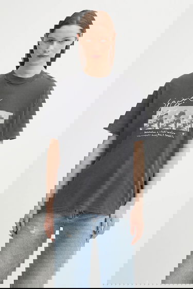 Tričko Anine Bing Anine Bing Ashton Graphic T-Shirt Šedá | A.08.11304, 0
