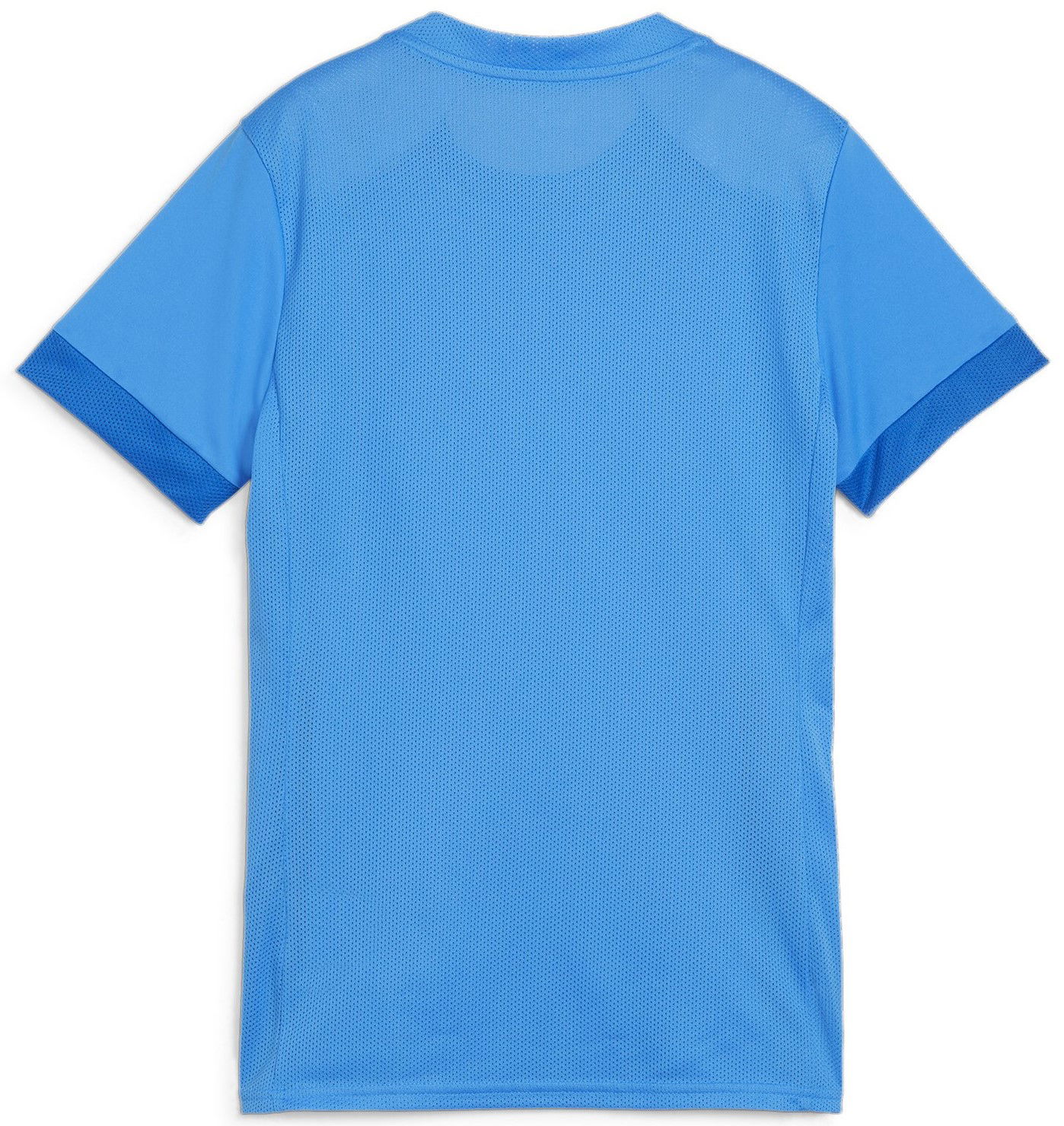 Dres Puma teamGOAL Matchday Jersey Wmns Modrá | 705749-02, 1