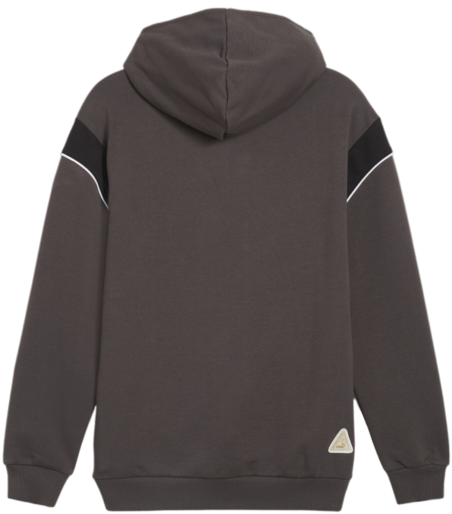 Mikina Puma BVB Dortmund Ftbl Archive Hoody Šedá | 774264-04, 1