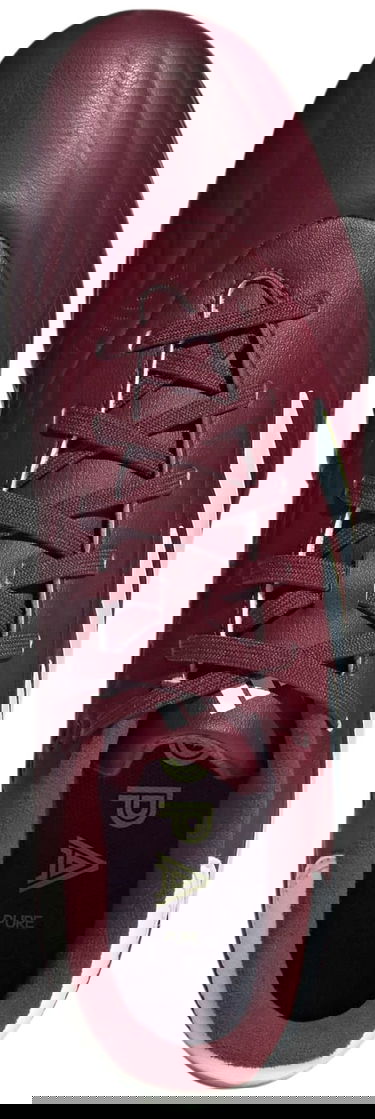 Tenisky a topánky adidas Performance Copa Pure II League FG Vínová | IE7491, 1