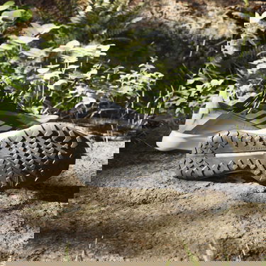 Tenisky a topánky adidas Performance adidas TERREX Boty Terrex Voyager 21 Slip-On HEAT.RDY Travel Čierna | IE2599, 3