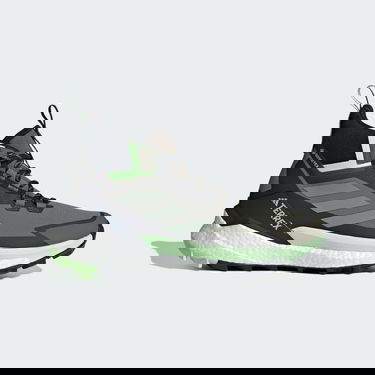 Tenisky a topánky adidas Performance adidas TERREX FREE HIKER 2.0 GORE-TEX Šedá | IE5127, 0