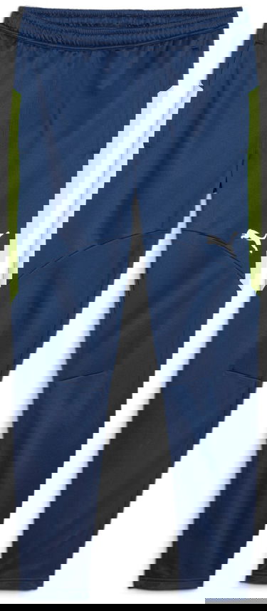 Nohavice a džínsy Puma Individual Winterized Football Pants Navy | 658511-01, 0