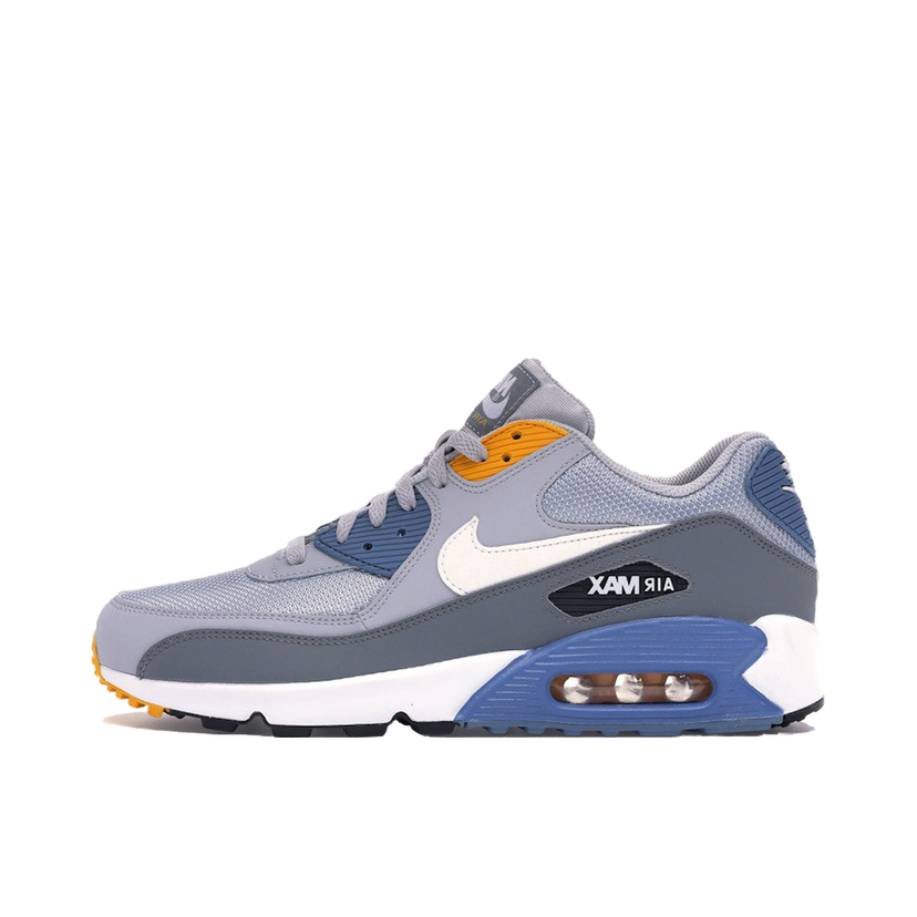 Tenisky a topánky Nike Air Max 90 Šedá | AJ1285-016