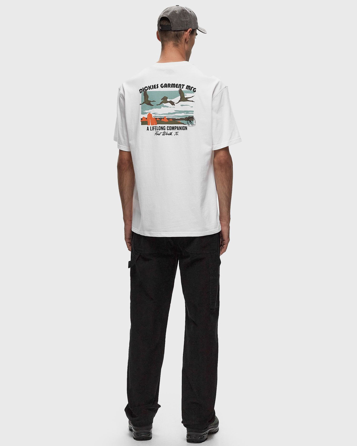 Tričko Dickies Companion T-Shirt Biela | DK0A4Z3P0WH1, 1