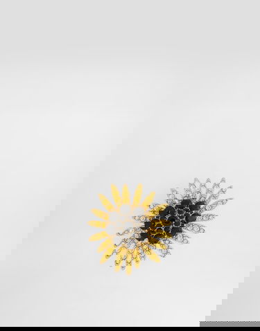 Spona Dolce & Gabbana Sartoria Floral Brooch With Rhinestones Onesize Rôznofarebný | WPS1F7W1111ZOO00, 3