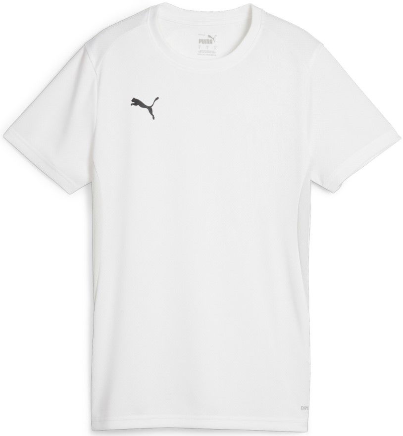 Dres Puma Dres teamGOAL Jersey W Šedá | 658638-04, 0