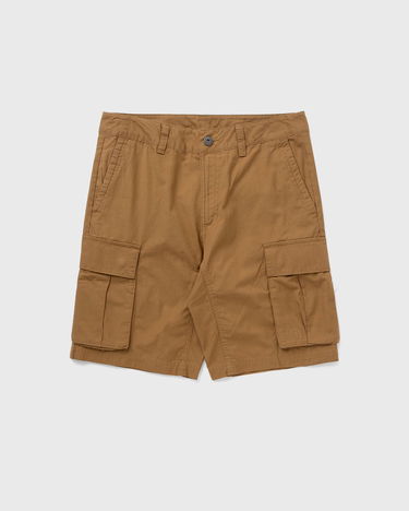 Šortky The North Face M ANTICLINE CARGO SHORT - EU men Cargo Shorts brown Hnedá | NF0A55B61731, 0