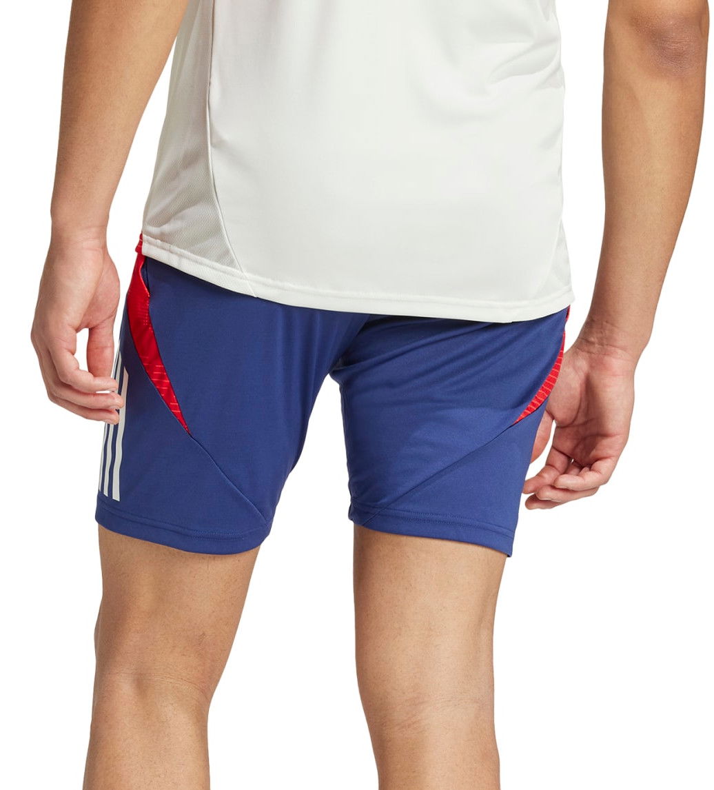 Olympique Lyon Shorts