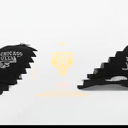 NBA Bulls Core Vi Pro Snapback Cap