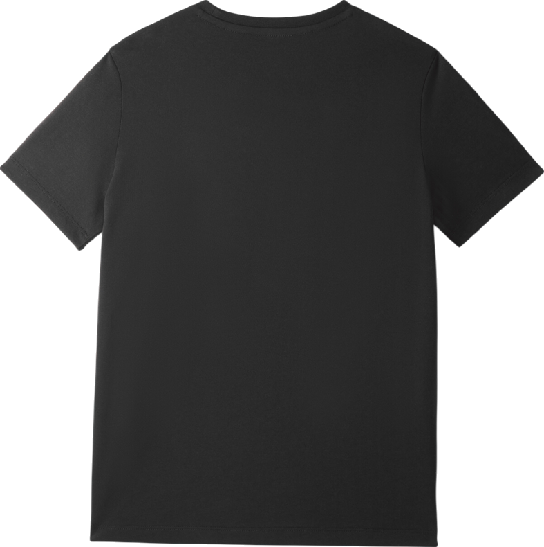 Tričko Puma Galatasaray Istanbul Glory Lion Graphic T-Shirt Čierna | e251068-010, 1