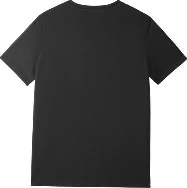 Tričko Puma Galatasaray Istanbul Glory Lion Graphic T-Shirt Čierna | e251068-010, 1