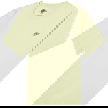 Tričko Dickies Mapleton T-Shirt Zelené | DK0A4XDBH141, 0