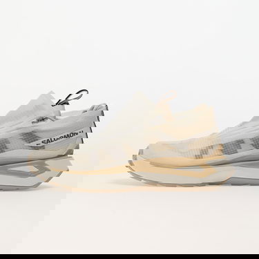 Tenisky a topánky Salomon Odyssey Elmt Advanced Clear Vanilla Ice/ Bleached Sand/ Safari Béžová | L47419500, 0