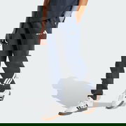 Future Icons 3-Stripes Pants