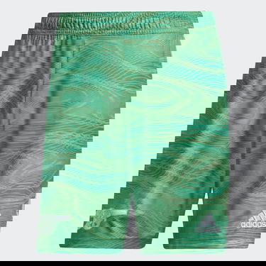 Šortky adidas Performance Arsenal 21/22 Goalkeeper Shorts Zelené | HB6476, 4