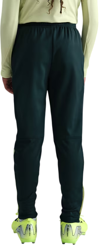 Tepláky Nike Therma-FIT Academy Pants Zelené | fj6182-390, 2