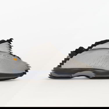 Tenisky a topánky adidas Originals Crazy 1 Metalická | GY2410, 3