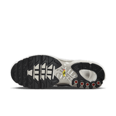 Tenisky a topánky Nike Air Max Plus Šedá | IB7679-200, 2