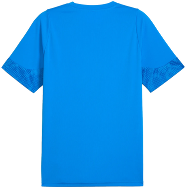 Dres Puma Puma teamCUP Training Jersey Modrá | 659167-02, 1