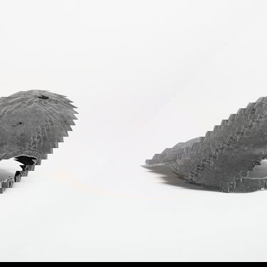 Šiltovka adidas Originals Baseball Cap Utility Black Šedá | KE0856, 1