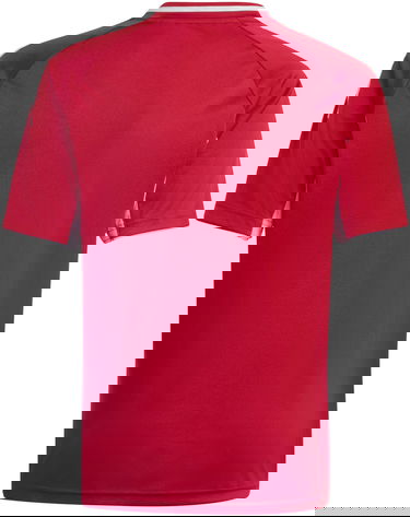 Tričko adidas Originals adidas TIRO25 Jersey Červená | jp4736, 1