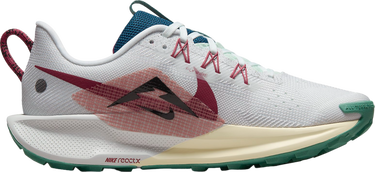 Tenisky a topánky Nike Pegasus Trail 5 Šedá | dv3865-100, 2