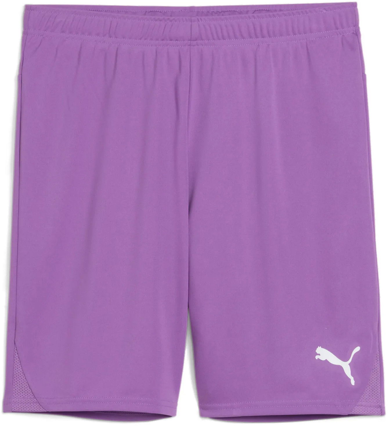 Šortky Puma Puma teamGOAL Shorts Fialová | 705752-33, 0