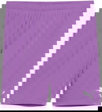 Puma teamGOAL Shorts