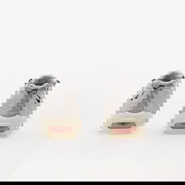 Tenisky a topánky Nike Air Max 95 Šedá | DX2670-001, 4