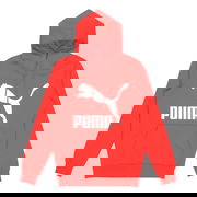 Classics Large Logo Hoodie